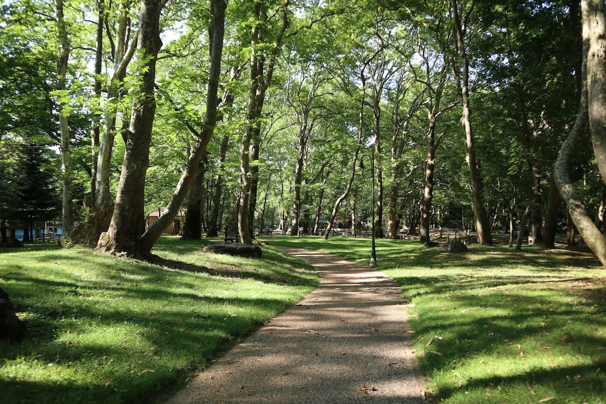 Neue “Waldstadt” in England soll Wohnraum für eine Million Menschen bieten