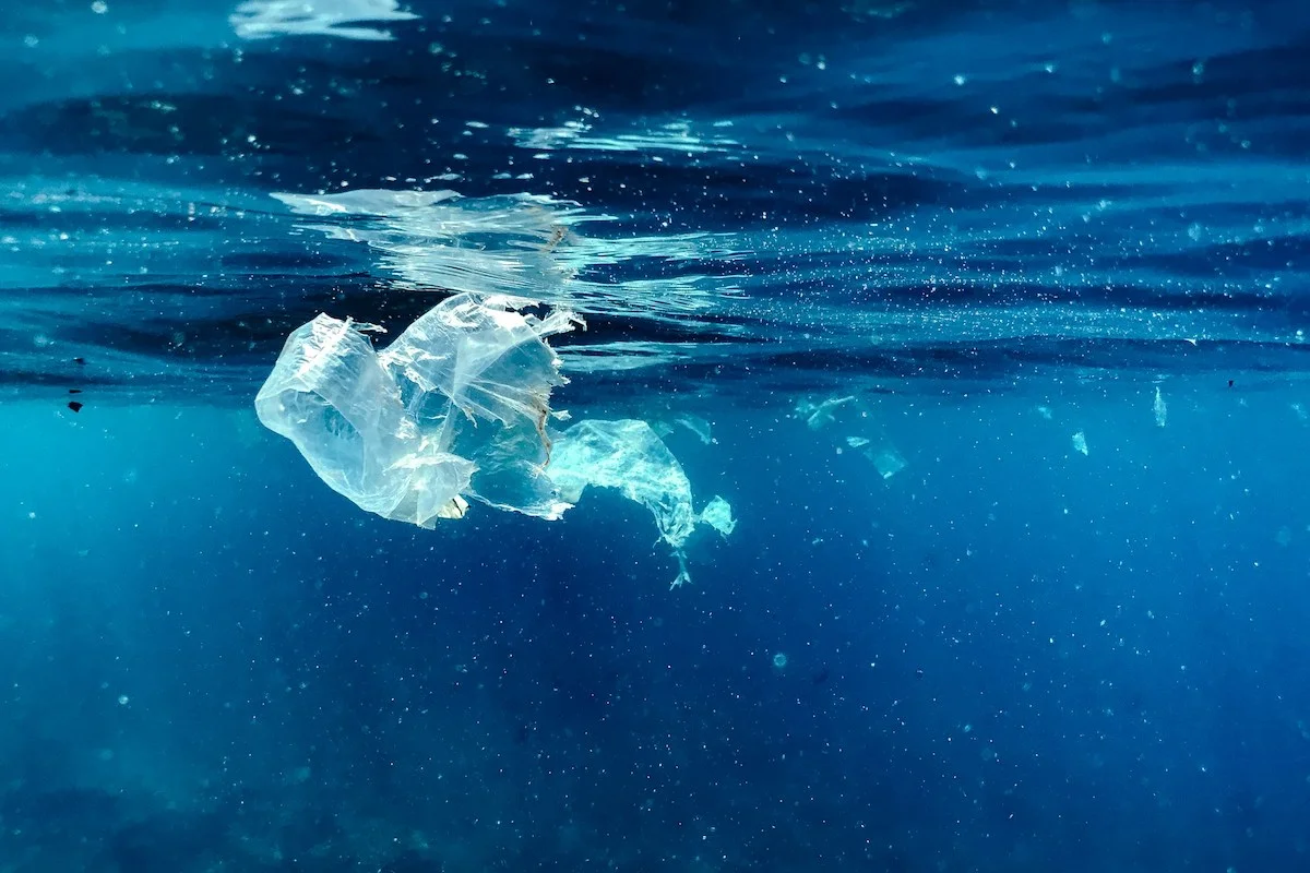 Plastic bag in the water, sea