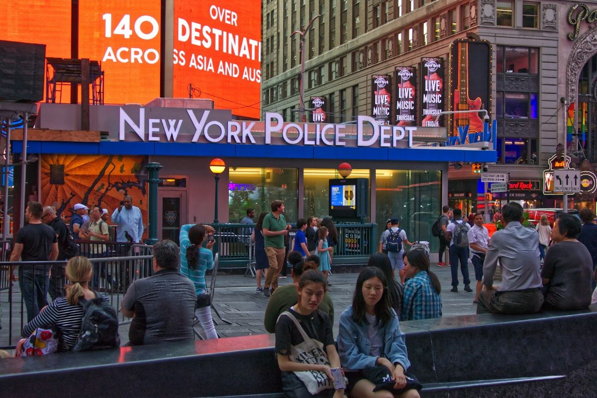New York sees lowest murder rate in recorded history, Europe's first elephant sanctuary, hedgehog backpacks - Squirrel News