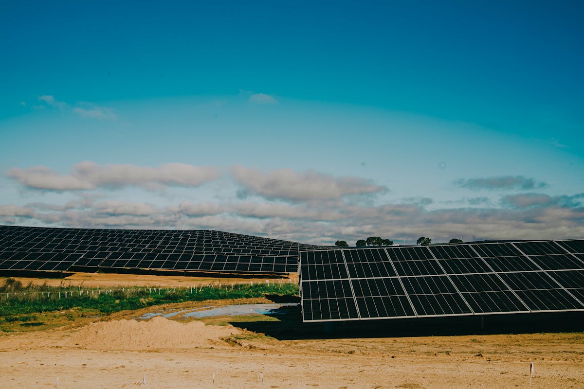 Clean energy deal for Africa, global battery capacity skyrockets, new study repairs nerve damage in MS