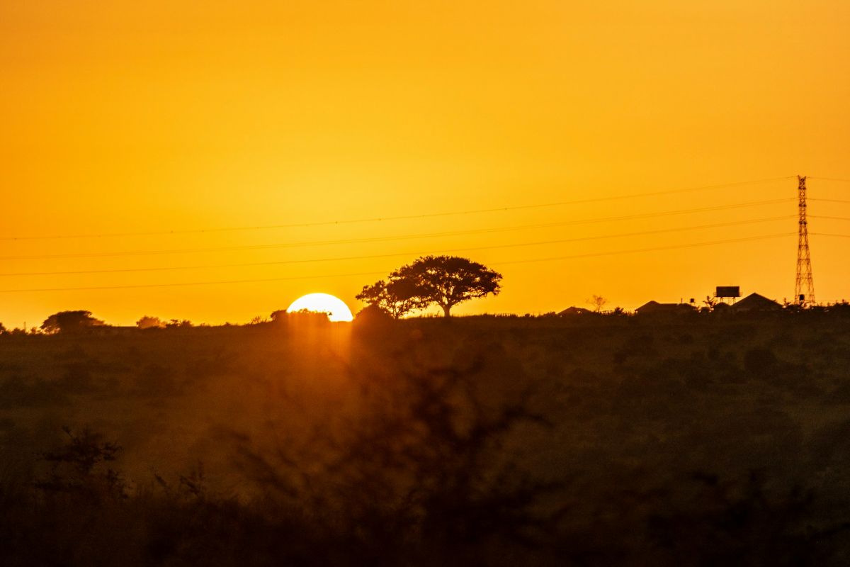 50 million access electricity in Africa, Southeast Asia moves towards ending malaria, saving Kenya's mangroves